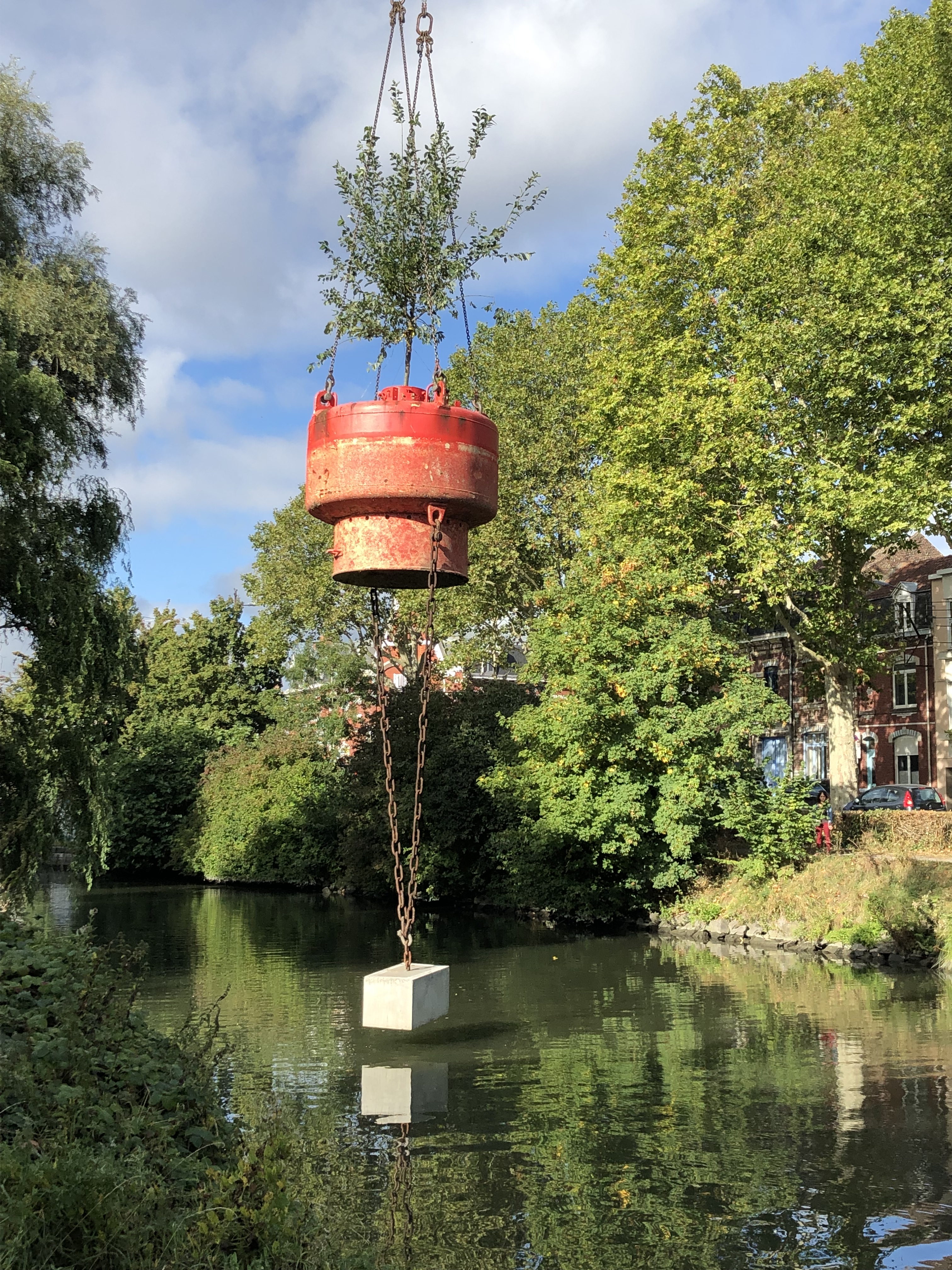 Forêt flottante