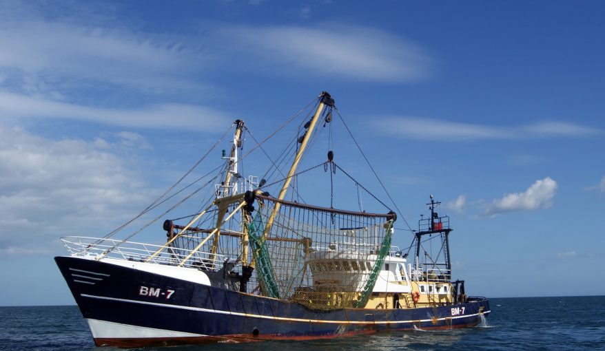 Bateau de pêche